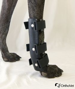 兽用腕管夹板
