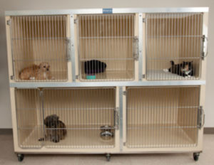 猫动物笼具