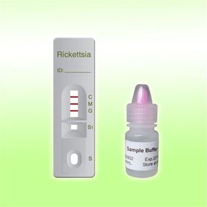 传染病快速诊断检测 1