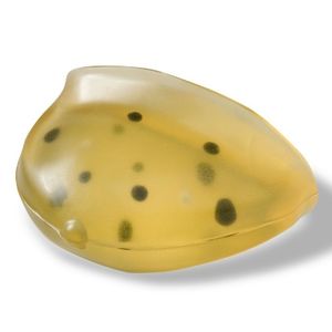乳腺X射线造影测试体模
