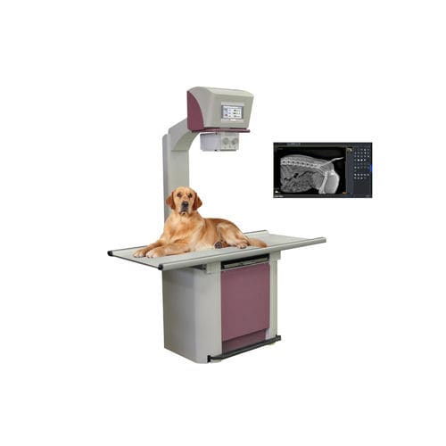 兽用放射线成像系统 / 数字 - IDeVet Digital Veterinarian Imaging - 带有检查台