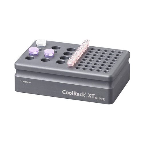 管道实验室血沉架 - CoolRack™ XT - Azenta life sciences - 用于微型离心管 / 冷冻 / 冷却