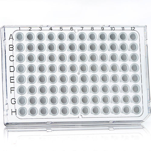PCR微孔板 - 4ti-0950/C - Azenta life sciences - 96孔