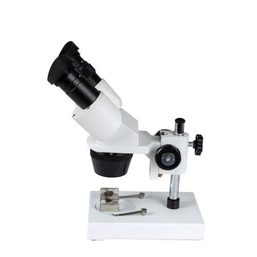 光学立体显微镜 - LABS S1030N - Celestron - 实验室 / 双目 / 3D