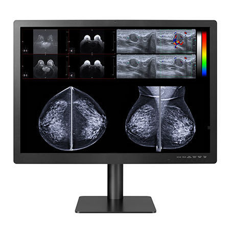 医用显示器 - GEMINI-12MP - Double Black Imaging - 诊断 / 31" / 液晶