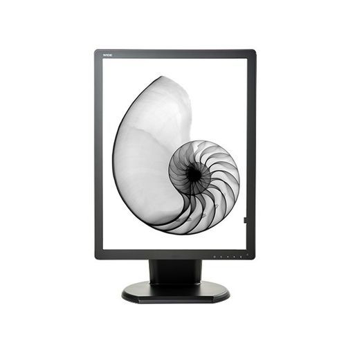 医用显示器 - DBIMX50 - Double Black Imaging - 21.3" / 液晶 / LED
