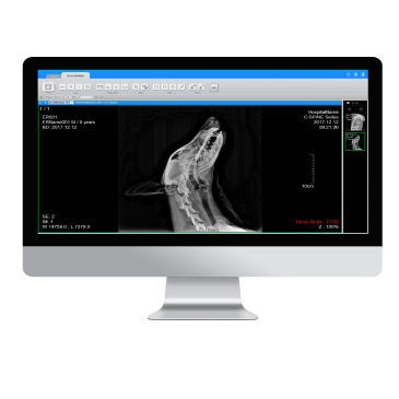 医学成像PACS系统 - ExamVue  - JPI Healthcare Solutions - 兽用