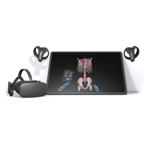 培训模拟器 - ImmersiveView Surgical Plan® - ImmersiveTouch - 手术 / 解剖学 / 手