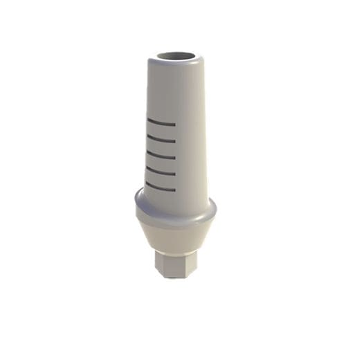 PEEK种植体基台 - Straight Temporary Peek Anatomic Abutment - Bhi Implants - 内六角形 / 直线型 / 临时