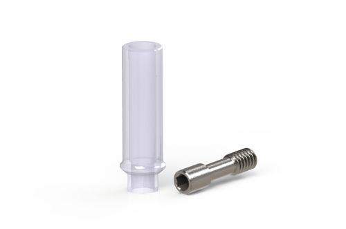 可煅烧种植体基台 - DENTEO - BIOTECH DENTAL - 外部 / 直线型