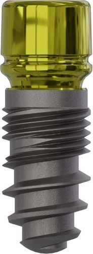 锥形牙齿植入物 - 0800 - Champions Implants GmbH - 钛 / 直线型