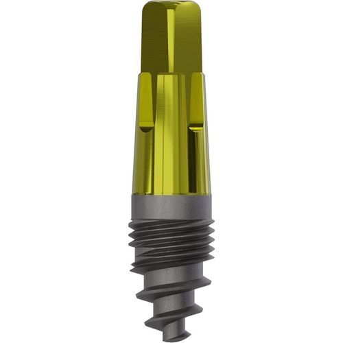 锥形牙齿植入物 - 0900 - Champions Implants GmbH - 钛 / 直线型