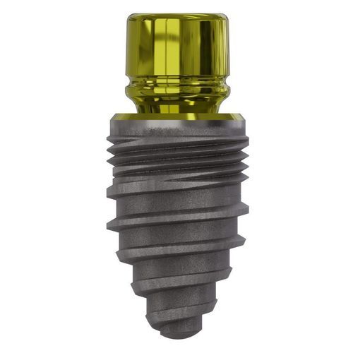 锥形牙齿植入物 - 0822 - Champions Implants GmbH - 钛 / 直线型 / 一件式
