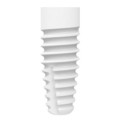 圆柱形牙齿植入物 - ZERAMEX® XT  - Dentalpoint AG - 陶瓷 / 二氧化锆 / 内部