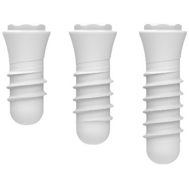 锥形牙齿植入物 - ZERAMEX&reg; P6 - Dentalpoint AG - 陶瓷 / 内六角形