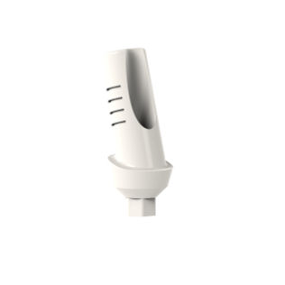 PEEK种植体基台 - 7200013 - TAV Dental Ltd. - 内六角形 / 角形 / 临时