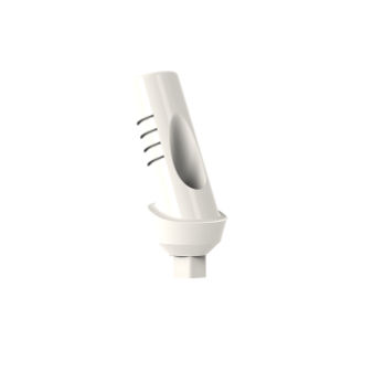 PEEK种植体基台 - 7200017 - TAV Dental Ltd. - 内六角形 / 角形 / 临时