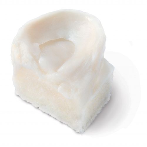 同种异体移植人工半月板 - BioCleanse®  - RTI Surgical