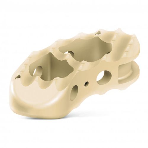 腰椎间融合器 - T-Plus™ - RTI Surgical - 椎间孔内 / PEEK材质