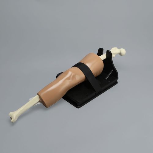 培训模拟器 - ALICE Knee - Sawbones/Pacific Research Labs - 评估 / 一般护理 / 解剖学
