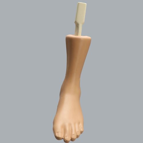 骨骼解剖模型 - Able Advanced - Sawbones/Pacific Research Labs - 脚踝 / 培训 / 关节镜