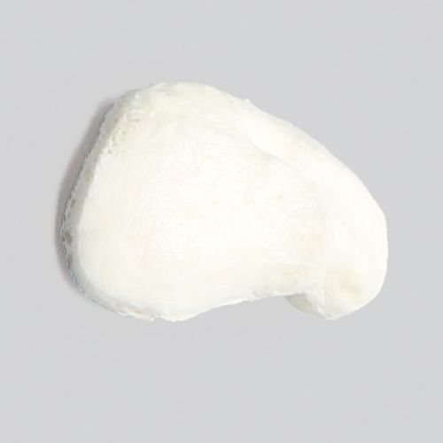 颅骨解剖模型 - 1010 - Sawbones/Pacific Research Labs - 泡沫