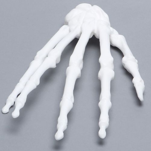 手解剖模型 - 1016-21 - Sawbones/Pacific Research Labs - 桡骨 / 塑料 / 白色