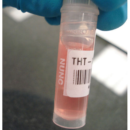 管标签 - B33-123-461  - Brady EMEA - 耐化学腐蚀
