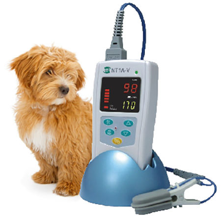手持式脉搏血氧仪 - NT1A-V - Solaris Medical Technology, Inc. - 台式 / 兽用 / 白色