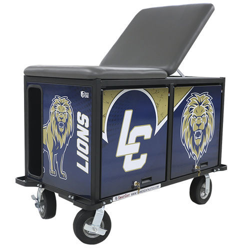 医用手推车 - 4' SmartCart - PHS Medical - 医院用 / 用于医疗器械 / 存储