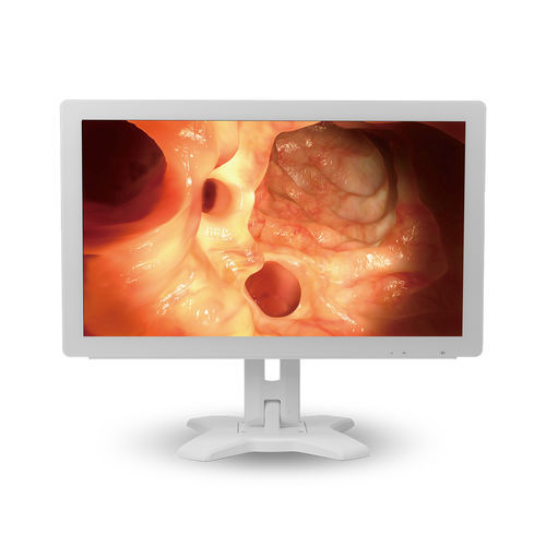 医用显示器 - MMS-21C series - BriteMED Technology - 内窥镜 / 全高清Full HD / VGA