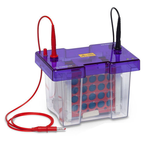蛋白质印迹转印槽 - omniBLOT  - Cleaver Scientific/英国Cleaver Scientific - 印迹杂交 / 诺瑟杂交