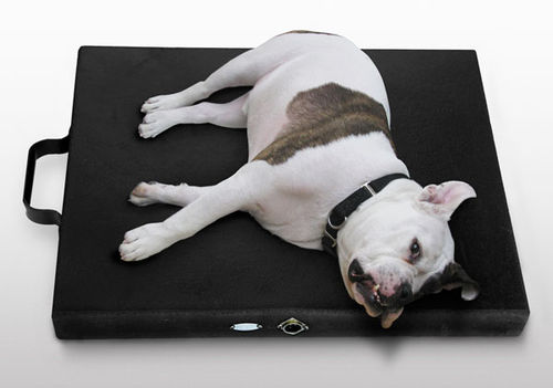 犬类磁疗机 - Centurion Kennel  - Centurion Systems - 床垫