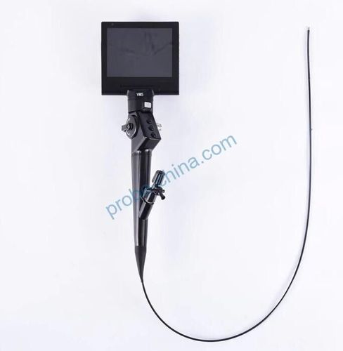 视频兽用胆道镜 - SHENCHAO - Shenzhen Shenchao Transducer - 小动物 / 配有窥镜