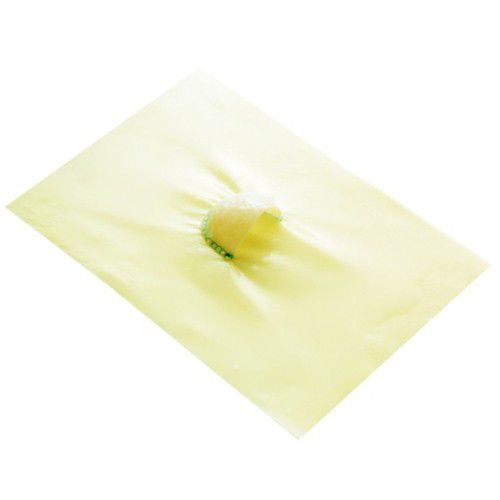 心脏手术组织基质 - MONOCUSPID - Braile Biomedica - 异种移植