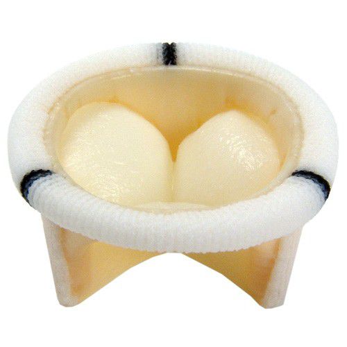 三尖瓣生物瓣膜