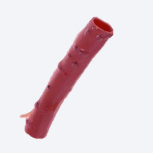 肺动脉生物人工血管 - CryoGraft®  - Cryolife - 同种异体移植 / 活瓣
