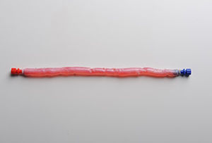 股静脉生物人工血管 - CryoVein®  - Cryolife - 同种异体移植