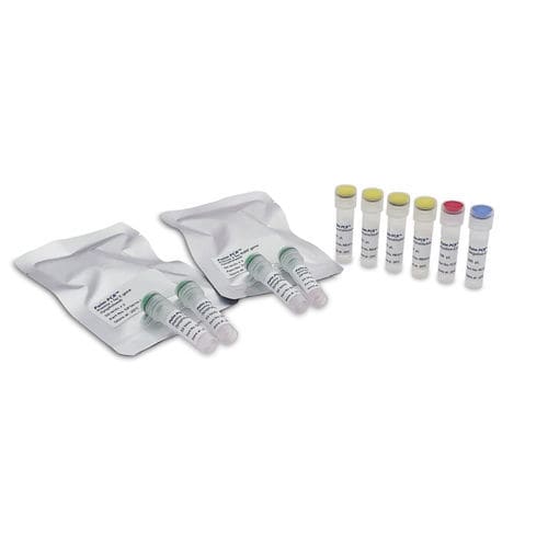 COVID-19新冠病毒快速诊断套装 - Palm PCR™ - Ahram Biosystems, Inc. - SARS-COV-2 / 实时