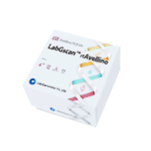 溶液试剂套装 - LabGscan™ rtAvellino - Labgenomics 700 daewangpangyo-ro, Bundabg-gu - 临床 / 实验室 / 用于分子生物