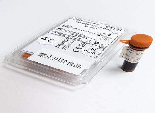 抗体试剂 - MF-GFA-0060 - MagQu Co., Ltd. - 用于研究 / 诊断 / 蛋白质
