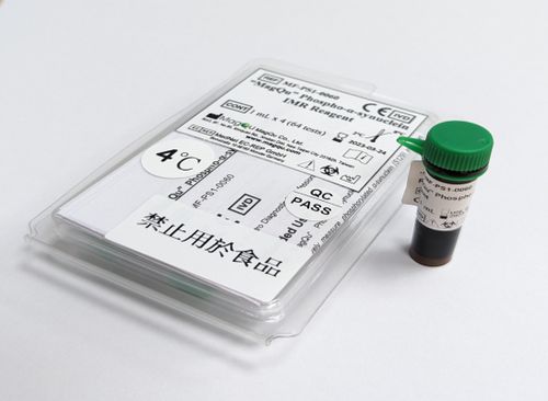 Α-核苷酸试剂 - MF-PS1-0060 - MagQu Co., Ltd. - 抗体 / 免疫分析 / 铁