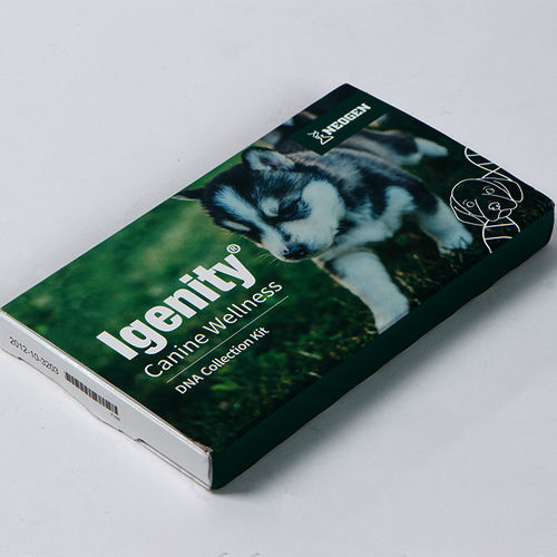 兽用快速诊断套装 - Igenity®  - Neogen Corporation Inc. - 用于犬类 / 基因 / 细胞
