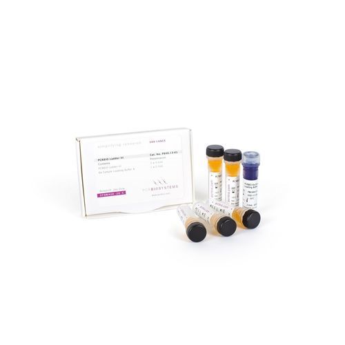 梯状DNA试剂套装 - PCRBIO Ladders I-IV - PCR Biosystems Ltd. - 染色 / 核酸 / 电泳