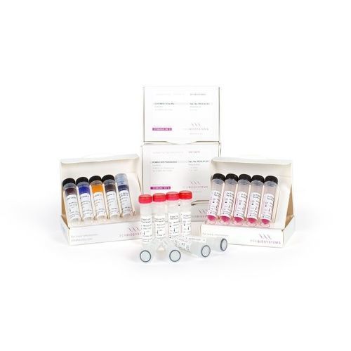酶试剂套装 - VeriFi™ - PCR Biosystems Ltd. - DNA聚合酶 / 染色 / PCR
