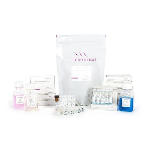 DNA聚合酶试剂套装 - Clara™ Probe 1-Step Purple Mix - PCR Biosystems Ltd. - 逆转录酶 / 染色 / RT-qPCR