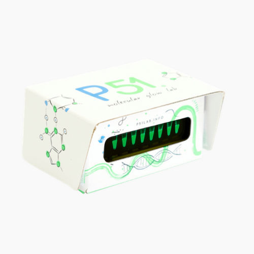 荧光凝胶成像系统 - P51™ - Amplyus - DNA / 用于蛋白质 / 用于RNA
