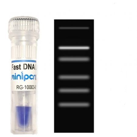 染色试剂 - miniPCR bio™ - Amplyus - 梯状DNA / 电泳 / 液体