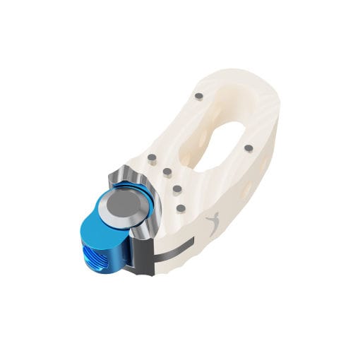 腰椎间融合器 - PRODOLPHIN™ - Prodorth Spine - 椎间孔内 / PEEK材质 / 钛