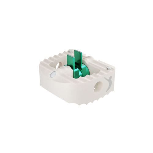 颈椎间融合器 - PROYSTER-D™ - Prodorth Spine - 前入路 / PEEK材质
